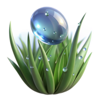 rare baroque A close up of a dewdrop on a blade of grass, macro photography, sparkling light, refreshing atmosphere, studio quality png