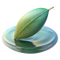 sumptuous coastal A single leaf floating on still water, soft reflections, serene and contemplative, minimalist photography style museum quality png