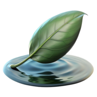 impressive romantic gothic A single leaf floating on still water, minimalist composition, soft, diffused light, contemplative mood, expertly shot png