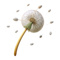 captivating peaceful modern A single dandelion seedhead with seeds blowing in the wind, soft afternoon light, whimsical and dreamy, illustrative style handcrafted png