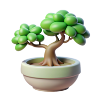 timeless bohemian A bonsai tree in a pot, soft indoor lighting, minimalist and zen style professional png