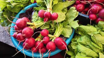Fresh radishes and greens at local market during sunny day video