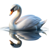 distinctive rustic A graceful swan gliding across a calm lake, soft, reflective light, serene and elegant style sharp png