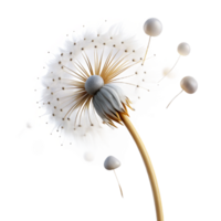striking abstract A single, delicate dandelion seedhead with seeds blowing in the wind, ethereal lighting, dreamlike style studio quality png