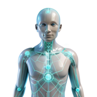 glorious acclaimed A transparent human figure with glowing circuitry visible beneath the skin, surrounded by data streams, illuminated by a soft white light, in a cyberpunk style png