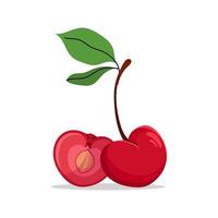 flat illustration of two cherries with green leaves, one whole and one sliced in half showing pit. Hand drawn style with clean lines, perfect for food and summer designs. illustration. vector