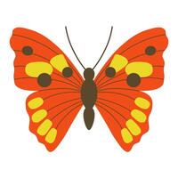 Elegant butterfly illustration, hand drawn red butterfly for cards, designs, postcards, icons, etc vector