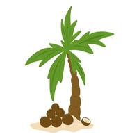 Coconut palm tree on an island illustration, a pile of coconuts on sand vector