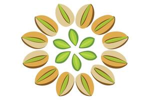 Circular design of pistachios with a vibrant floral pattern. vector