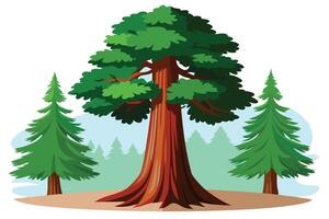 Redwood Tree in a Lush Forest Setting vector