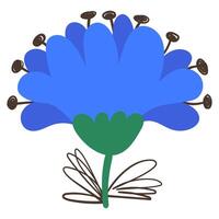 Hand Drawn Flower in Cartoon Style. Colorful plant with cute line sketches of branches isolated on white background. Nature herb perfect for invitations, cards, posters, holidays vector