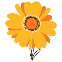 Yellow Flower in Doodle Style. Colorful plant with cute line sketches of branches isolated on white background. Nature herb perfect for invitations, cards, posters, holidays vector