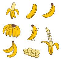Hand drawn banana elements set vector