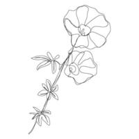 Continuous line with flower flora blossom bloom with one line design decor. vector