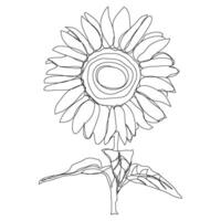 Hand drawn with flower flora blossom bloom with one line decor continuous line sketch. vector