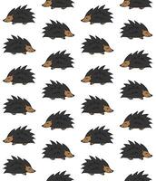 eamless pattern of doodle sketch hedgehogs isolated vector
