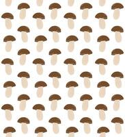 Seamless pattern of hand drawn doodle sketch King bolote cep mushroom isolated on white background vector