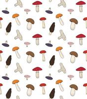 Seamless pattern of hand drawn doodle sketch mushrooms isolated vector