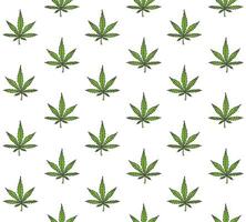 Seamless pattern of sketch hemp cannabis isolated on white background vector