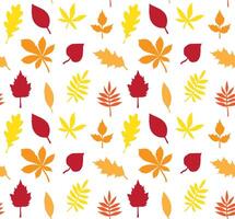 Seamless pattern of different color hand drawn doodle sketch leaves isolated on white background vector