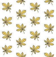 Seamless pattern of hand drawn doodle sketch chestnut leaf isolated on white background vector