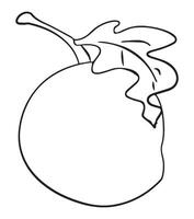 Mango outline for color illustration vector