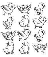 Set bird outline for color illustration vector