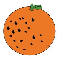Orange with green leaves illustration vector