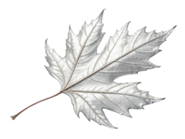 stunning silver leaf showcases intricate details and delicate structure, perfect for adding elegance to any design png