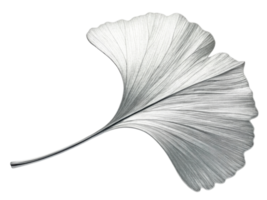 stunning silver leaf showcases intricate details and graceful shape, perfect for adding elegance to any design or decor png