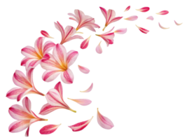 hermosa azalea flores crear maravilloso monitor con su delicado pétalos graciosamente disperso, evocando sentido de tranquilidad y belleza png
