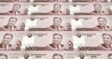 Banknotes of five thousand wons of North Korea rolling, cash money, loop video