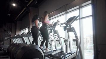 Two plus size women enjoying a workout on elliptical trainers video