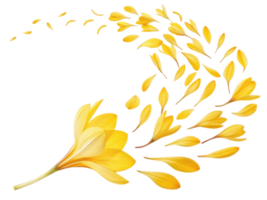 vibrant crocus flower releases its delicate yellow petals in graceful swirl, creating beautiful display of nature elegance png