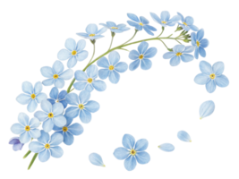 Forget me not flowers bloom in delicate blue hues creating serene and beautiful arrangement that captures essence of nature charm png