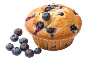 Delicious muffin topped with fresh blueberries is perfect for breakfast or snack. Enjoy sweet and fruity flavor in every bite png