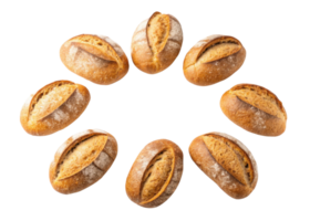 Freshly baked sourdough rolls arranged in circular pattern showcase their golden crust and soft interior, perfect for any meal png