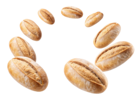 Freshly baked sourdough loaves arranged in circular pattern showcase their golden crust and inviting texture, perfect for any meal png