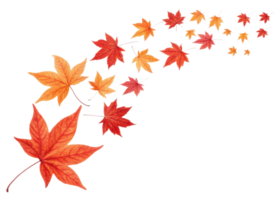 Beautiful swirl of colorful maple leaf in shades of red and orange creates vibrant autumn pattern full of natural charm and warmth png