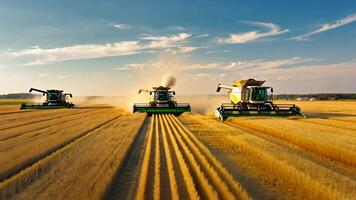 Tres moderno combinar cosechadoras cosecha dorado trigo en grande agrícola campo debajo azul cielo, creando Perfecto líneas y polvo caminos, simbolizando moderno agricultura, comida producción video