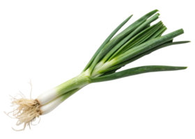 Fresh spring onion with green leaves and white bulbs isolated on transparent background perfect for healthy cooking and vibrant meals png