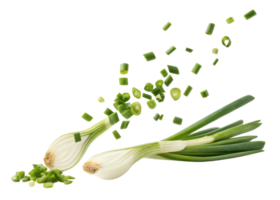 Fresh spring onion with sliced pieces flying in air showing vibrant green color and freshness in lively composition png