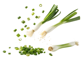 Fresh spring onion with green leaves and white bulbs whole and sliced isolated on transparency background png
