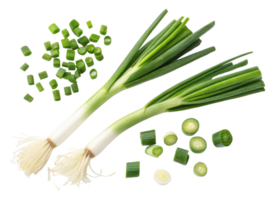 Fresh spring onion with green leaves and white roots whole and sliced pieces isolated on transparency background png