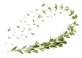 fresco timo foglia con verde erba le foglie volante nel curvo movimento la creazione di naturale e vivace composizione pieno di freschezza e vitalità png