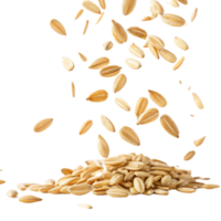 Instant oat grains falling in cutout style isolated on transparency background with natural texture and healthy food concept for design png