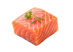 Salmon fillet with fresh green herb on top isolated on transparency background showing fresh texture and vibrant color for healthy food concept png