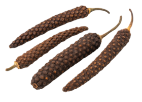 Long peppercorn cutout image showing four dried brown spice pods with textured surface perfect for culinary use and seasoning png