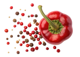 Red peppercorn and cutout chili with scattered peppercorns isolated on transparency background for spicy food design png