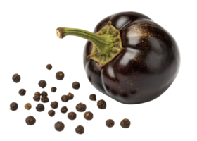 Black peppercorn and fresh pepper cutout with stem isolated on transparency background for cooking and seasoning use png
